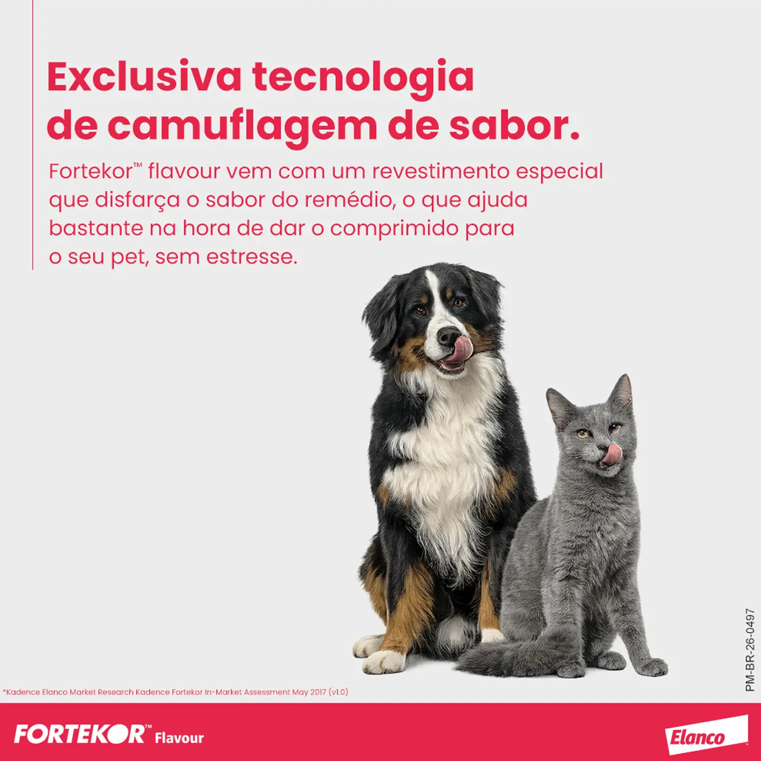 Fortekor Flavour 5 mg para Insuficiência Cardíaca Congestiva e Doença Renal Crônica
